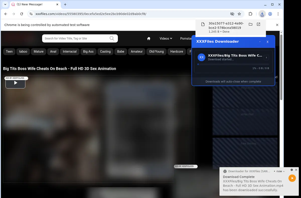 Xxxfiles Video Downloader screenshot 2