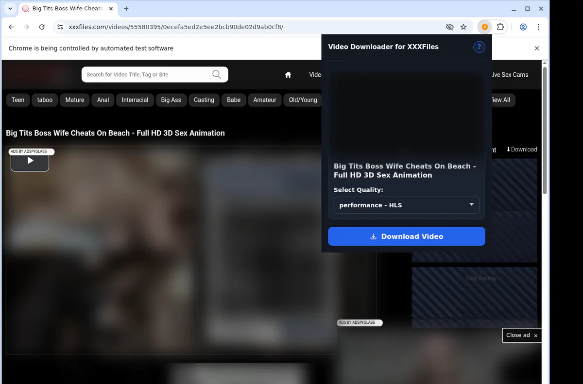 Xxxfiles Video Downloader screenshot 3